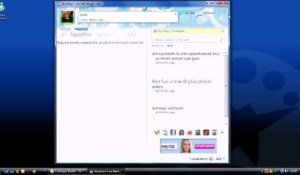 MSN Messenger 2010: l'aperçu en vidéo