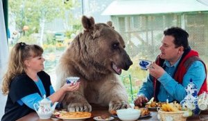 Un couple russe joue au foot et bois le thé avec son ours de compagnie
