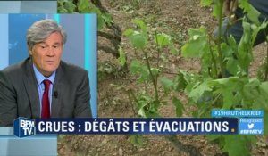 Intempéries: Stéphane Le Foll promet des aides aux viticulteurs