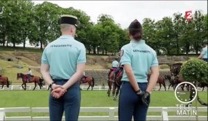 Carré VIP - Les chevaux de la Garde Républicaine - 2016/06/02