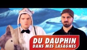 Du dauphin dans mes lasagnes - Studio Bagel