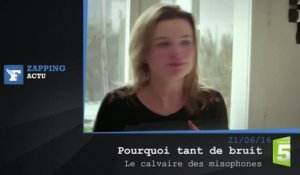 Zapping TV : Michel Houellebecq, sa télé et ses légumes