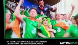 Euro 2016 : Les meilleures vidéos des supporters irlandais (vidéo)