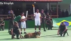 Ce jaguar a été abattu après le passage de la torche olympique... Révoltant