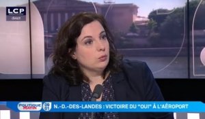 Notre-Dame-des-Landes : le référendum remis en question par les écolos