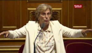 Lienemann (PS) : "Il est urgentissime que la France exprime à ses partenaires une décision unilatérale de suspension de la directive des travailleurs détachés"