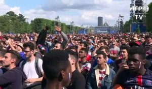 Euro 2016: joie des supporters français après la victoire