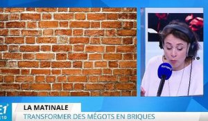 Comment transformer des mégots en briques pour maisons ?