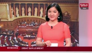 Les matins du Sénat : Débat sur le brexit (29/06/2016)
