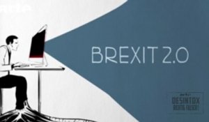 Brexit et Google - DESINTOX - 29/06/2016