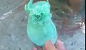 Un Garcon Sauve Un Bebe Qui Tombe De Sa Table A Langer Sur Orange Videos