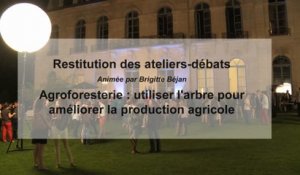 Restitution de l'atelier-débat : agroforesterie
