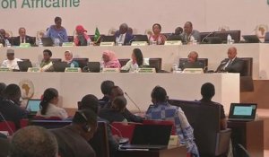 Afrique, Travaux de la 29ème Session ordinaire du Conseil exécutif de l'UA