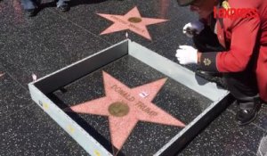 Los Angeles: un mur miniature autour de l'étoile de Donald Trump