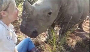 Quand un jeune rhinocéros te fait un gros bisous!!!