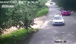 Une femme se fait attaquée par un tigre dans le parc animalier de Pékin !
