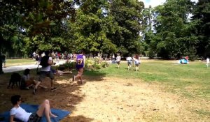 Pokemon Go: Apparition d'un Leviator dans un parc de Bordeaux, la réaction des joueurs, du jamais vu