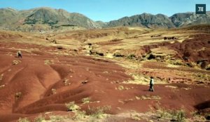 Une empreinte de dinosaure de taille exceptionnelle découverte en Bolivie