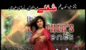 Starge Me jung Ghuwari | Shogley | Pashto Songs | Pashto World