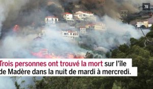 Violents incendies au Portugal