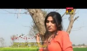 Tere Bajhun Mera Nahi Guzara  - Babar Saleem Khan - Album 1 - Saraiki Song