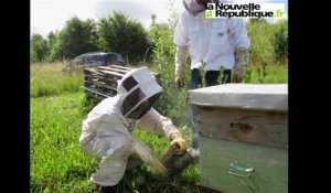 [Vidéo] Delphine Batho chez les abeilles