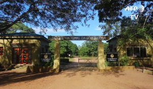 Le parc du Gorongosa menacé par les plaies du Mozambique