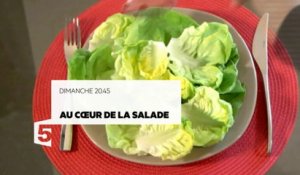 Au cœur de la salade : bande-annonce
