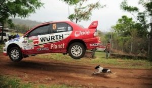 Un chien sauvé in extremis par le saut d'une voiture de rallye en Bolivie !