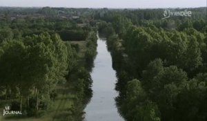 Parc : Visite de la quiétude du Marais Poitevin (Vendée)