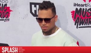 Chris Brown libéré de prison après avoir payé une caution de 250 000 dollars
