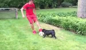 Özil travaille sa technique avec… son chien