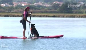 Initiative : Pratiquer le paddle avec son chien (Vendée)