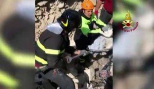 Italie : deux chats secourus des décombres seize jours après le séisme