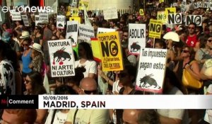 Madrid: Thousand protesters call for an ban on bullfighting