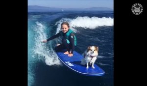 Cette jeune fille surf avec son chien sur la planche... La classe