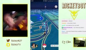 Un gamer se fait agresser en pleine chasse Pokemon en direct sur le web