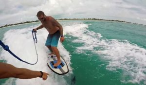 Adrénaline - tous sports : Il fait du wakesurf avec un dauphin