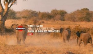 Planète safari - Extrait de l'épisode 2
