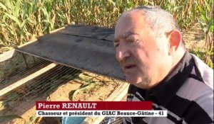 Loir-et-Cher: au secours de la perdrix grise