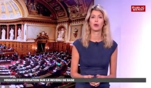 Revenu de base - Les matins du Sénat (12/09/2016)