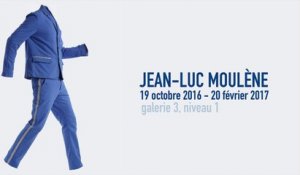 Teaser | Jean-Luc Moulène | Exposition
