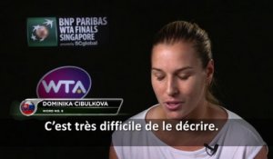 Masters - Cibulkova : "Prendre ma revanche"