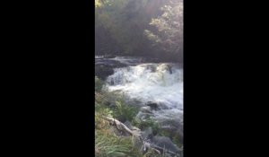 Ce taré se jette dans une chute d'eau avec sa bouée... Fail