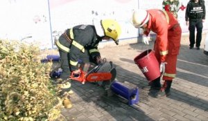 Des pompiers délivrent un chat coincé dans un poteau de panier de basket