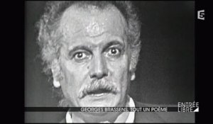 Georges Brassens, tout un poême