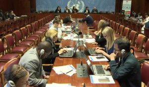 Syrie:le HCDH prône la limitation du veto au Conseil de sécurité
