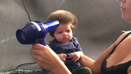 Junior Un Petit Bebe Irlandais Tres Chevelu Sur Orange Videos