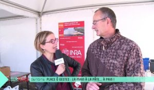 Sur Place à Place Ô Gestes (3/3) : travaux pratiques avec l'INRA