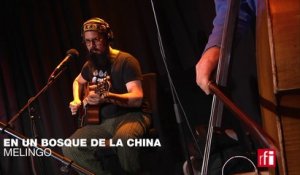 Melingo chante "En un bosque de la china" @rfimusicmonde @RFI